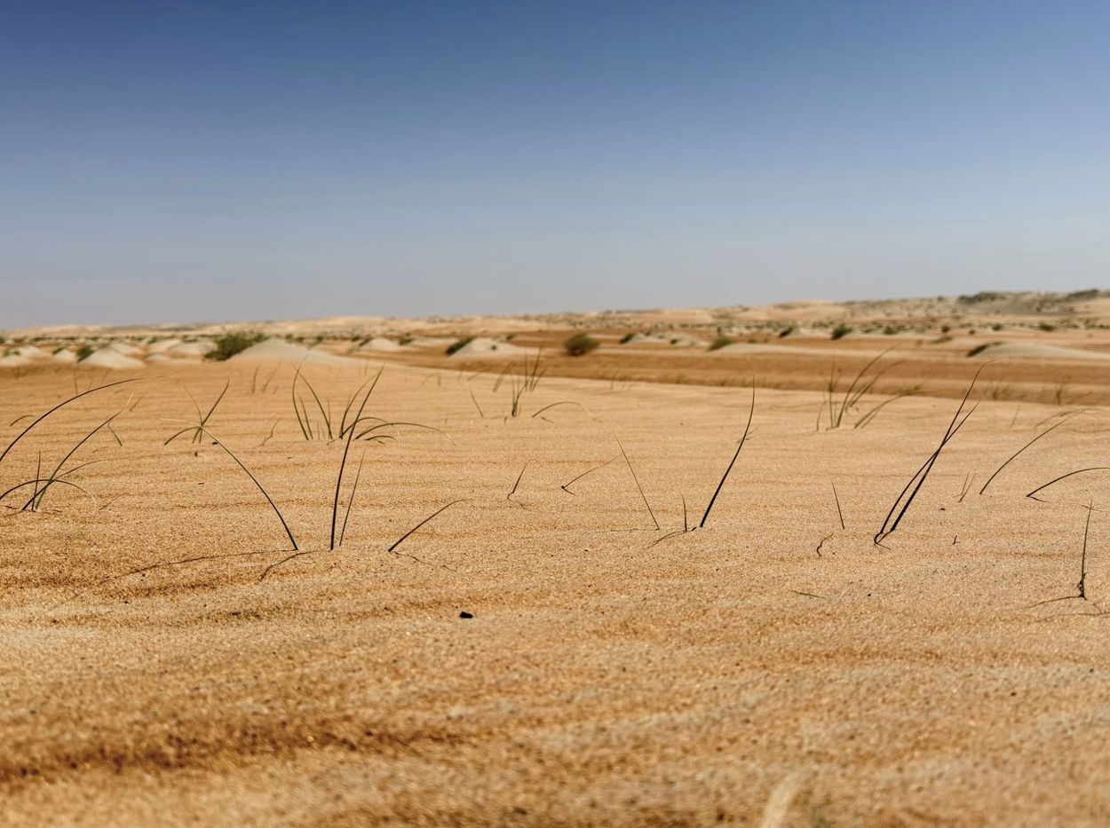 Liwa dunes