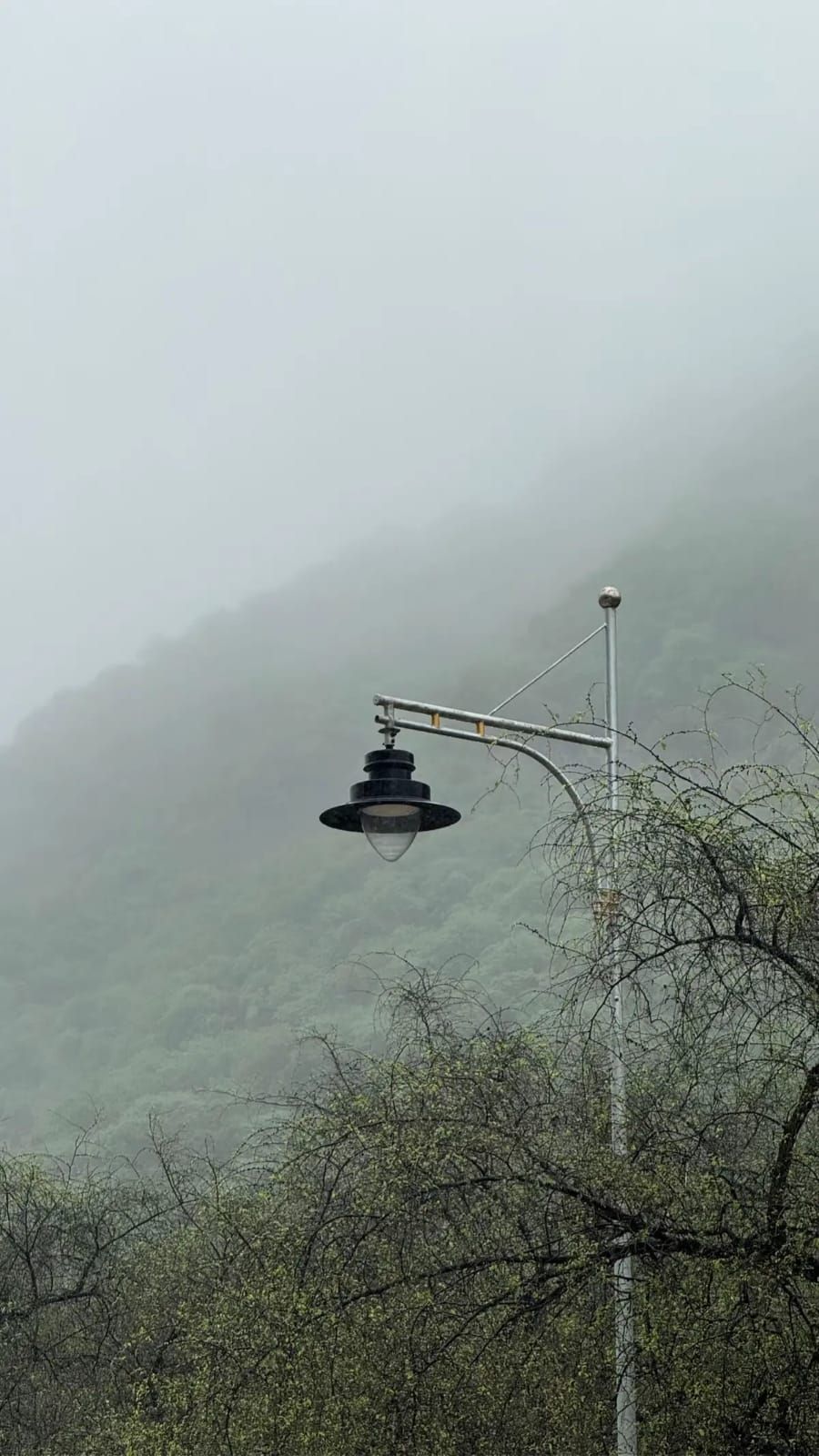 Mist rolling over the green Dhofar hills in Salalah during khareef